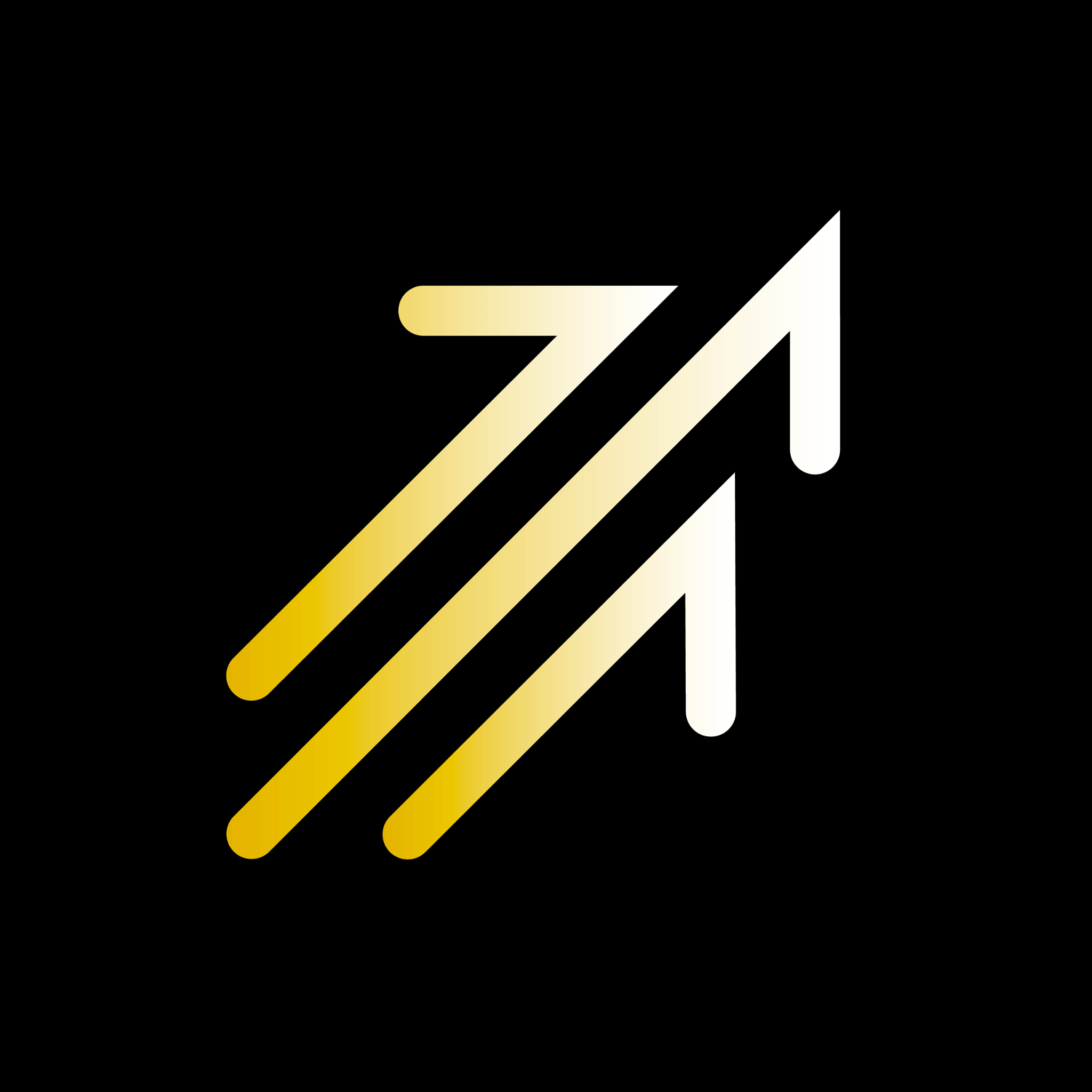 Sky Ryders logo